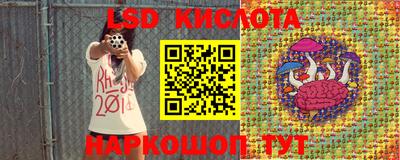 индика Шебекино
