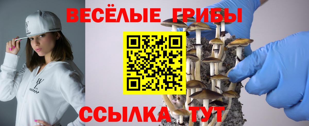Галлюциногенные грибы мухоморы  Вход с VPN  Белорецк 
